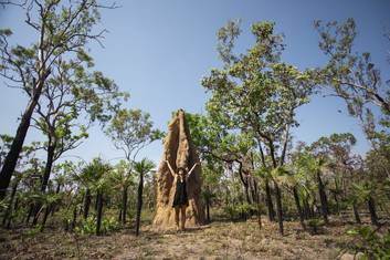 Nature's sky scrapers the Cathedral Termite Mounds